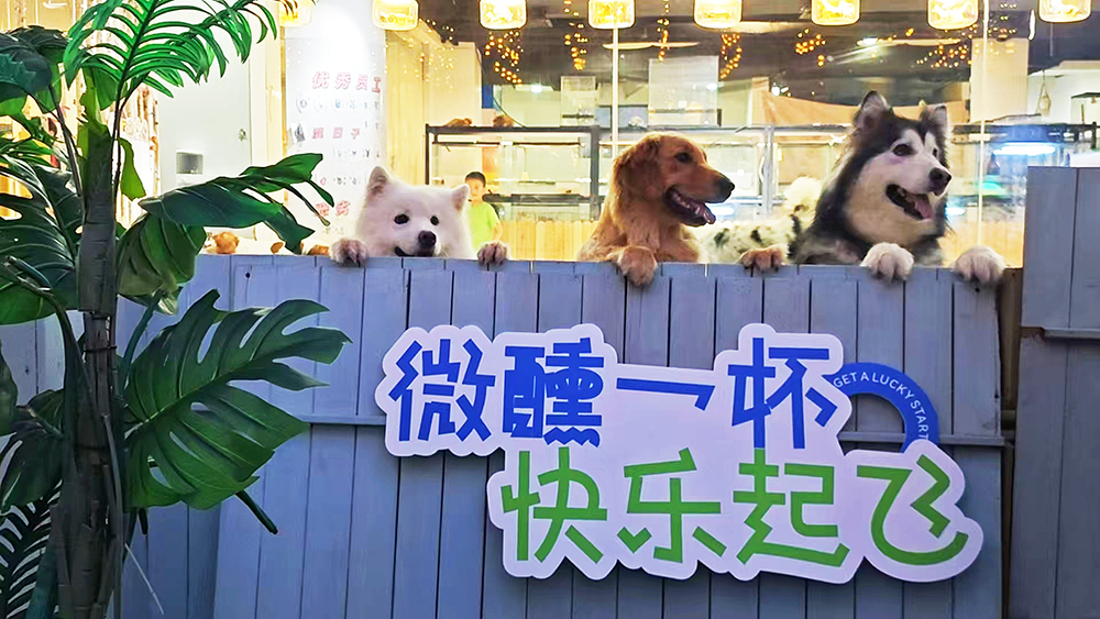 ca5d09b5e5ecef8b3658a110dc537f92 卡卡湾厅·(KKW88)集团公司-官方网站